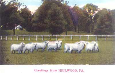 Heilwood postcard