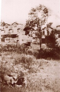 Photo showing (from left to right) the Heilwood Inn, Meat Market/Butcher Shop/auxiliary school room, circa 1924