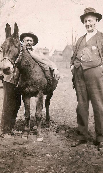 Harry Stahl (on left), probably a 'company' mule, and an unidentified man, taken in front of The Barn below the Heilwood Inn (date unknown)