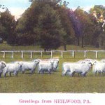 Heilwood postcard